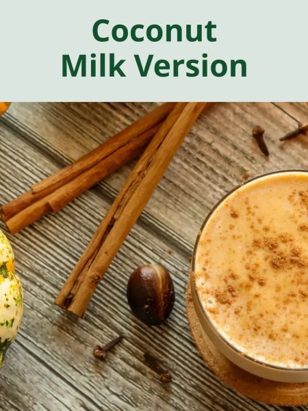 Pumpkin Pie Smoothie (with Coconut Milk)